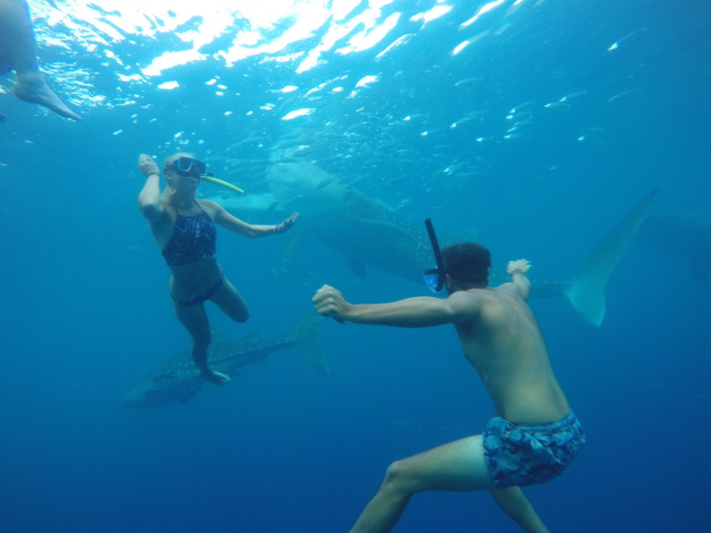 DCIM101GOPROGOPR3468.